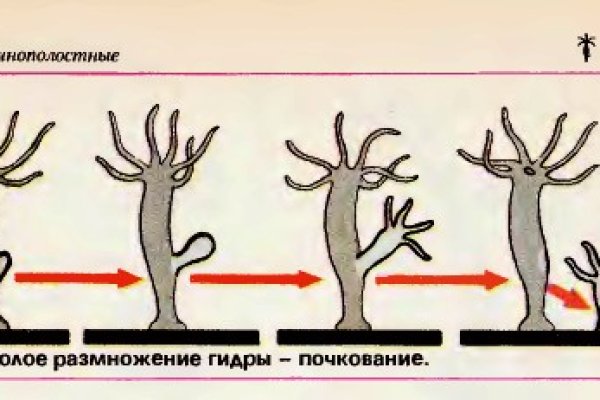 Магазин kraken даркнет