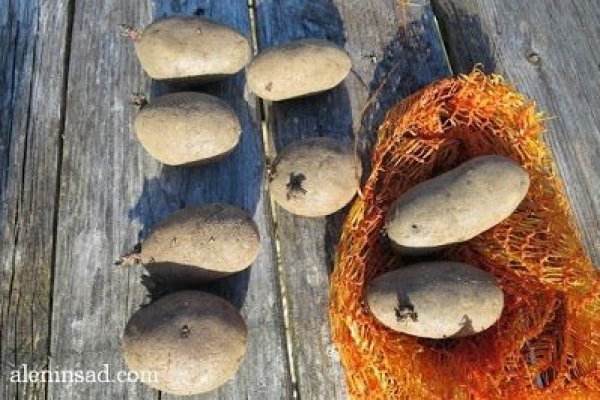 Кракен актуальная ссылка на сегодня