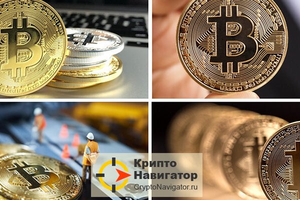 Тор для кракена